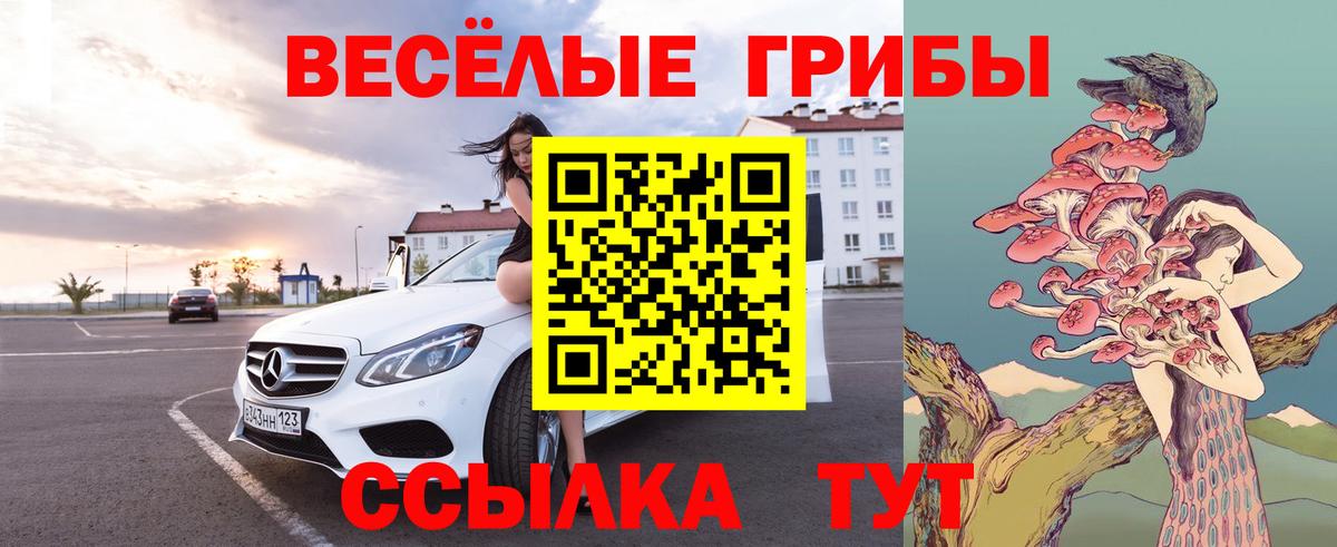 Псилоцибиновые грибы мухоморы Пугачёв