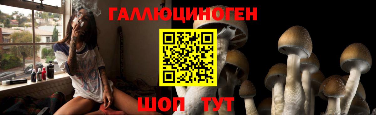 Пугачёв  Галлюциногенные грибы Magic Shrooms  Вход с VPN 